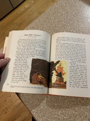 Vintage Teacher’s Edition 1965 – Scott Foresman Vistas Grade 5 New Basic Readers
