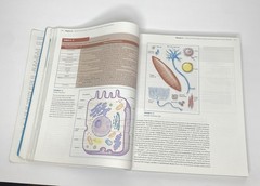 Phlebotomy Handbook Blood Specimen Collection 10th Edition VG