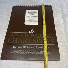 Classic Desktop Anatomical Chart Series Bachin Beck 1985 Homeschool 15” x 11”
