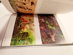 Of Green Leaf, Bird, and Flower [HARDCOVER] Yale University Press 9780300204247