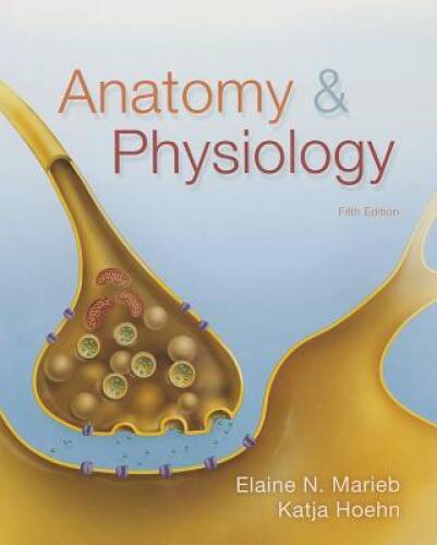 Anatomy Physiology (5th Edition) – Hardcover By Marieb, Elaine N – GOOD