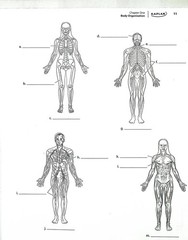 Anatomy Coloring Book – 450+ Medical Illustrations w/ Quizzes | Kaplan Test Prep