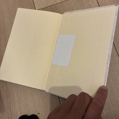 isobel armstrong, radical aesthetic, 1st Edition, Hardback, 2000