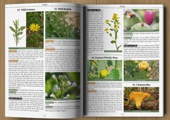 Wilderness Long-Term Survival Guide: Forgotten Skills to Make the Wild Your Home