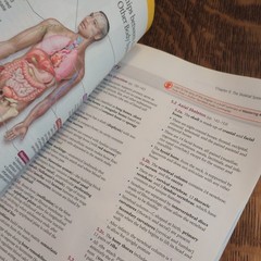 Essentials of Human Anatomy and – Paperback, by Suzanne Keller Acceptable 13 ed