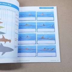 Something Fishy – All About Reading, All About Spelling, All Levels