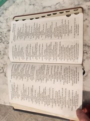 The New American Bible Large Print Edition Oxford University Press 12 Point Type