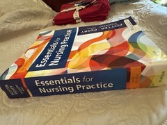 Essentials for Nursing Practice by Patricia A. Stockert, Patricia A. Potter,…
