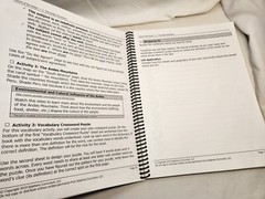 Moving Beyond the Page 10-12 Secret of the Andes Language Arts Curriculum MBTP