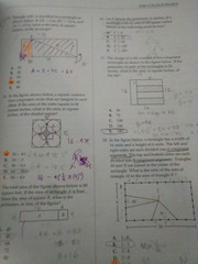 The College Panda’s Act Math