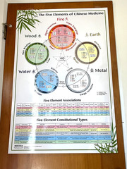 Laminated Wall Chart The Five Elements of Chinese Medicine Miridia Acupuncture
