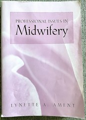 Professional Issues in Midwifery by Lynette Hamlin (2006, Perfect)