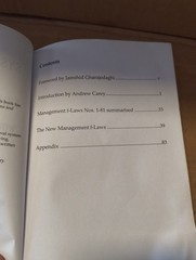 Systems Thinking for Curious Managers : With 40 New Management F-Law by Herbert