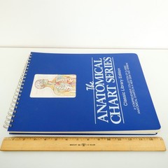 The Anatomical Chart Series Classic Library Edition 11×15 inch Desk Size Version