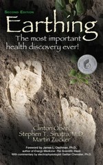 Earthing Second Edition – Paperback By Ober, Clinton – GOOD