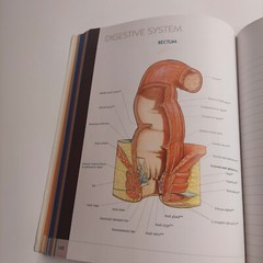 QuickStudy Atlas of Human Anatomy Vincent Perez Health Home School Good
