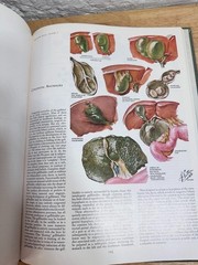 The CIBA Collection Of Medical Illustrations Volume 3 Digestive System 1964