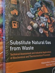 Substitute Natural Gas from Waste: Technical As, Materazzi, Foscolo,#