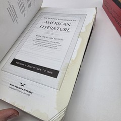 The Norton Anthology of American Literature Vol 1 and 2 10th Edition