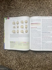 Understanding Pathophysiology by Kathryn L. McCance and Sue E. Huether (2007,HC)