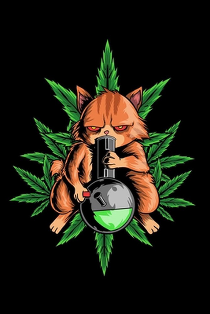 120 Pages DINA5: Cannabis Graphic Jorunal Book For Marijuana Smoker 120 Pages DI
