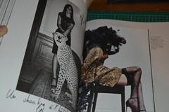 Carine Roitfeld Irreverent Fashion PHOTOGRAPHY ART BOOK VOGUE SLIPCASE RIZZOLI
