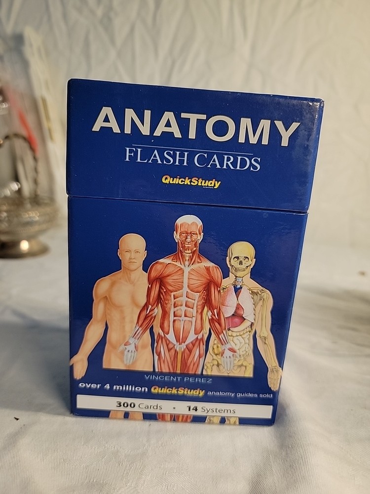 Anatomy Flash Cards: a QuickStudy Reference Tool