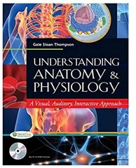 Understanding Anatomy and Physiology by F.A. Davis Company Paperback / softback