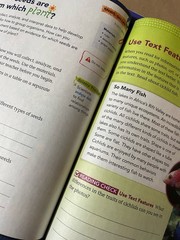 9780328949199 Elevate Science Grade 3 TEACHER EDITION (Spiral-Bound)- Excellent!