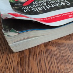 Essentials of Human Anatomy and – Paperback, by Suzanne Keller Acceptable 13 ed