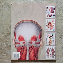 Systems & Structures : The World’s Best Anatomical Charts Collection