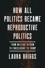 How All Politics Became Reproductive Politics: From Welfare Reform to Foreclosu