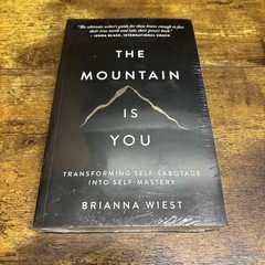 Mountain Is You : Transforming Self-Sabotage into Self-Mastery by Brianna Wiest
