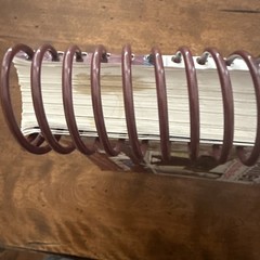 Dog Grooming Simplified: Straight to the Point By Jodi Murphy – Spiral-Bound