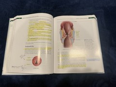 Anatomy & Physiology for Speech, Language, and Hearing (2019, Hardcover)