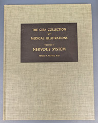 CIBA Collection of Medical Illustrations 12 Volume Book Lot Frank H Netter MD
