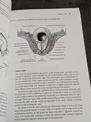 The Fasciae: Anatomy, Dysfunction and Treatment (Textbook Mint Condition)