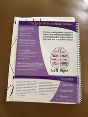 Brain Integration Therapy Manual By Dianne Craft 2013