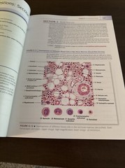 Atlas of Histology with Functional Correlations by Victor P. Eroschenko 2017