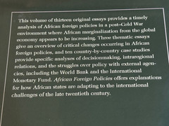 African Foreign Policies Paperback Edited by Stephen Wright Excellent Condition*