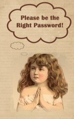 Please Be the Right Password: 5 X 8 122 Pages, 312 Sections for Internet Pass…