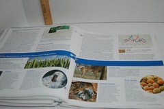 Campbell Biology 10th Edition Binder-ready Looseleaf Textbook Pearson A La Carte