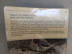 Tissue Interactions and Development–1977-Norman K. Wessells-276 pages-paperback