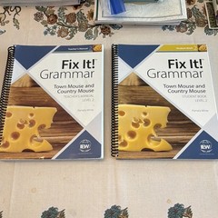 Fix It! Grammar Level 2 Student Book and Teacher manual