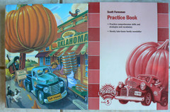 Scott Foresman Reading Street, gr. 5/5th LN Text & NEW Workbook! 2009