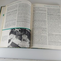 Botany 3rd Edition by Wilson & Loomis 1962 Holt, Rinehart And Winston Illustr HC