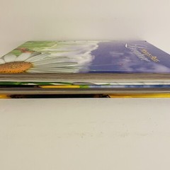 Mosdos Press Literature Opal Textbook Lot of 2 Student Hardcover Texts 3rd Grade
