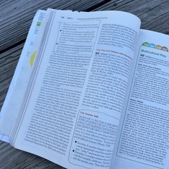 Creative Activities and Curriculum for Young Children 11th Eleventh Edition