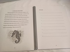 All Things Fun and Fascinating by Lori Verstegen (Spiral)