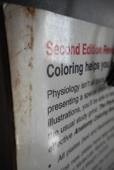 The Physiology Coloring Book by Elson Kapit Esmail Meisami Robert I Macey 2nd Ed